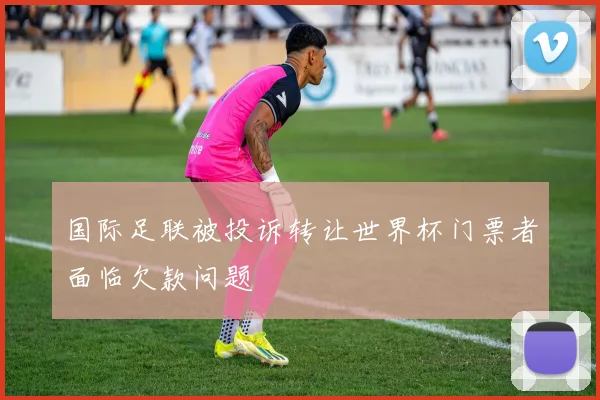 国际足联被投诉转让世界杯门票者面临欠款问题